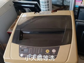 洗衣机按键不工作的原因及解决方法（洗衣机按键失灵可能是由于电路故障或操作问题所致）