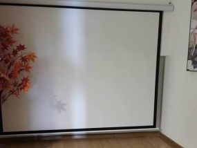 玥儿制作的投影仪具体名称是什么？