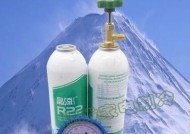 氟利昂回收与环境保护（可持续发展的关键举措）