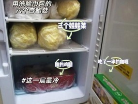 轻松学会清洗冰箱后面，保持家居环境清爽（解决冰箱后面的积尘问题）