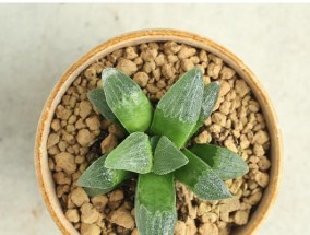 阿福电脑配置的评价如何？是否值得购买？