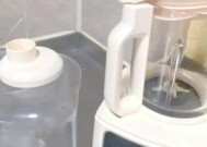 破壁机胡底的处理方法及技巧（了解破壁机胡底的原因及解决方案）