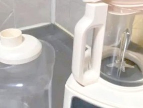 破壁机胡底的处理方法及技巧（了解破壁机胡底的原因及解决方案）