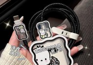 数据线储纳袋的正确使用方法是什么？有哪些使用技巧？