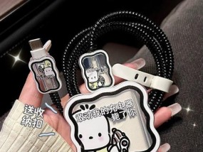 数据线储纳袋的正确使用方法是什么？有哪些使用技巧？