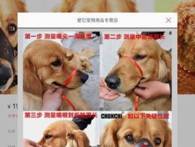 用嘴咬手机拍照如何操作？拍照键怎么点？