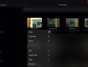 移动硬盘在iPad上的使用方法是什么？