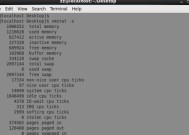 选择最好用的Linux系统，提升工作效率（通过全面分析）