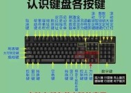 笔记本倍速键在哪里？如何快速找到并使用？