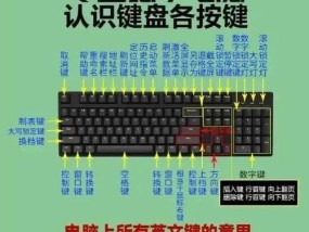 笔记本倍速键在哪里？如何快速找到并使用？