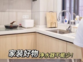净水器内杂质处理方法大揭秘（净水器内杂质清除技巧）