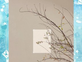 手机拍照放大才清楚怎么回事？如何提升照片质量？