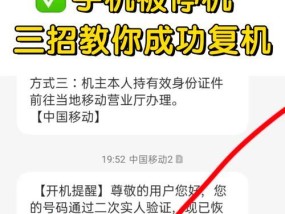 手机号码异常停机解决方法（如何应对突然停机的情况）