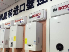 博世壁挂炉E3故障解决方法（掌握壁挂炉E3故障维修技巧）