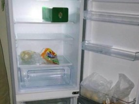 TCL冰箱清洗方法（轻松掌握的清洗技巧）