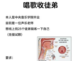唱片音箱话筒使用疑惑？操作方法大揭秘！