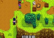 日服switch星露谷怎么搜？搜索方法是什么？