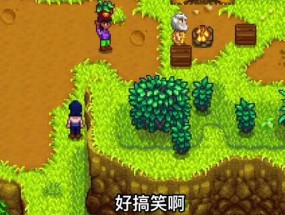 日服switch星露谷怎么搜？搜索方法是什么？