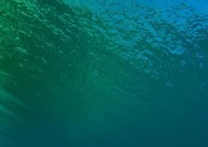 涟水智能鱼手机的性能如何？