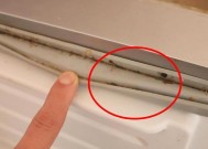 无胶清洗冰箱的简便方法（使用天然材料）