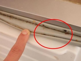 无胶清洗冰箱的简便方法（使用天然材料）