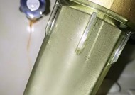 乡村净水器故障的解决方案（保障乡村饮水安全）