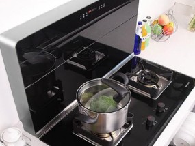 为什么集成灶白色面板会发黄（探讨集成灶面板发黄的原因及防范措施）