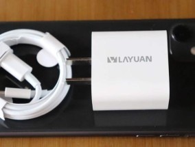 绿源充电器需要多少瓦功率才能正常使用？