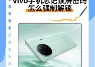 忘记密码怎么解锁vivo手机（详解vivo手机密码锁忘记解锁方法）