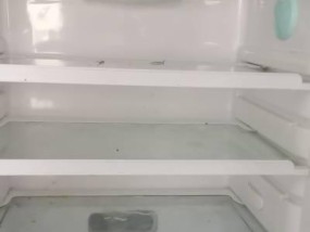 如何彻底清洗冰箱，让它焕然一新（冰箱清洗指南）