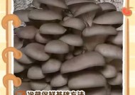 如何正确储存蘑菇以保持其新鲜度（冰箱储存技巧揭秘）