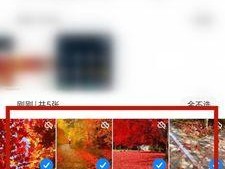 手机相册找不到连拍照片怎么办？