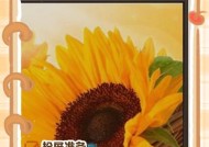 电视投屏中断怎么办（解决电视投屏中断的方法与技巧）