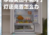 冰箱灯不亮了，如何解决？（了解原因，修复问题，保证食物安全）