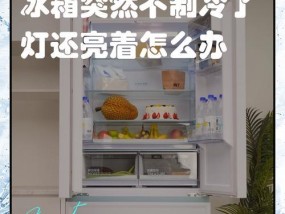 冰箱灯不亮了，如何解决？（了解原因，修复问题，保证食物安全）
