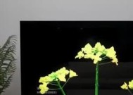 电视机6K和6L的区别在哪里？