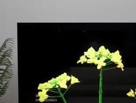 电视机6K和6L的区别在哪里？