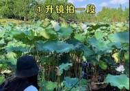 手机摄影的小妙招（如何用手机拍出专业级照片）