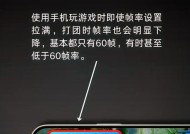 解决游戏卡顿的方法（打造流畅游戏体验）