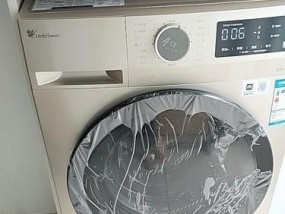 小天鹅洗衣机不排水的原因解析（排水故障原因及解决方法）