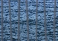 佳能相机坏点噪点检测方法是什么？检测到问题如何解决？