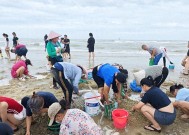 台风韦帕走后，北海大墩海惊现大量海螺，游客市民说根本捡不完