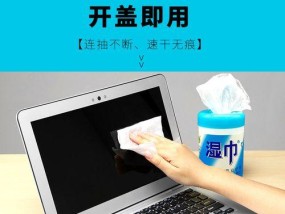 有效清洗显示器油污的方法（保护屏幕光洁无瑕）