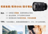 观鸟相机适合哪种镜头？镜头选择技巧是什么？