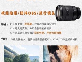观鸟相机适合哪种镜头？镜头选择技巧是什么？