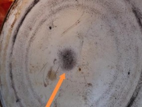 电饭煲煮饭发臭的原因及解决方法（电饭煲煮饭发臭是怎么回事？如何有效解决？）