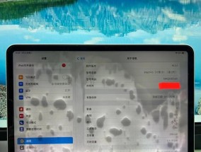 电脑显示屏进水花屏怎么办（以电脑显示屏进水花屏的解决方法为主题）