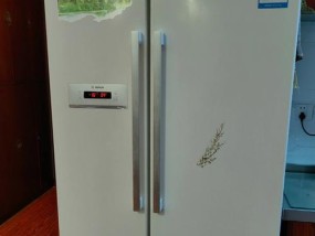 冷冻冰柜不结冰的原因及解决方法（故障分析与修复）
