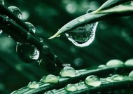下雨天如何使用苹果手机？有哪些特别功能？