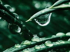 下雨天如何使用苹果手机？有哪些特别功能？